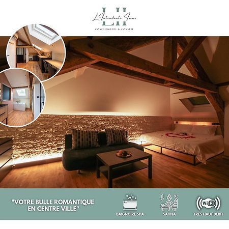 Evasion Chic, Spa Et Sauna Sous Les Toits Nancy Extérieur photo