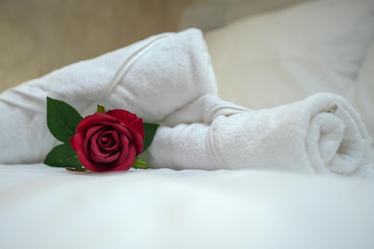 Evasion Chic, Spa Et Sauna Sous Les Toits Nancy Extérieur photo